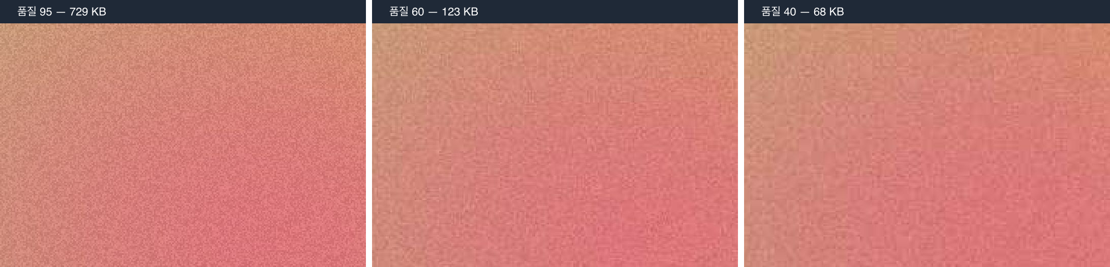 The same photograph saved at JPG quality 95, 60 and 40, magnified 3× and shown side by side.
